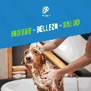SHAMPOO_BOLFO_100ML_05.webp