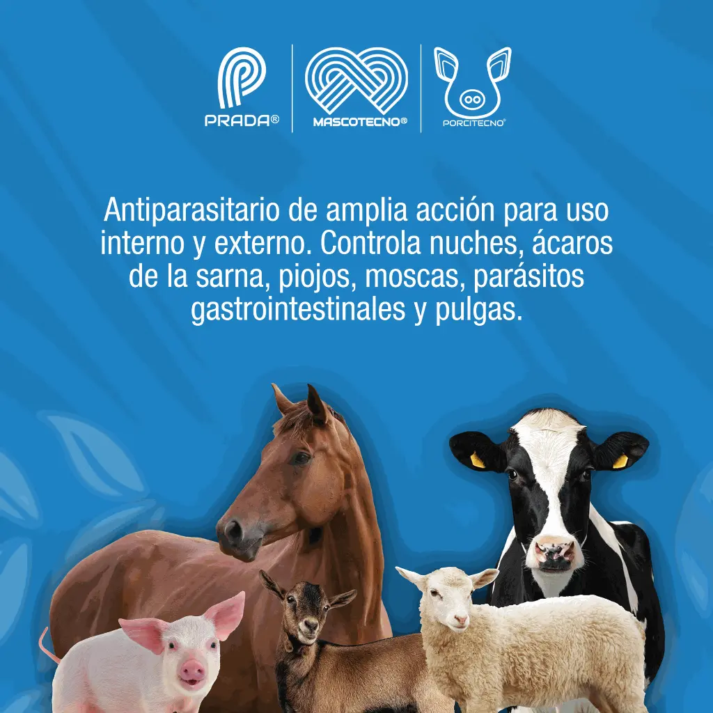 NUCHEROL_SOBRE_15GR_01.webp