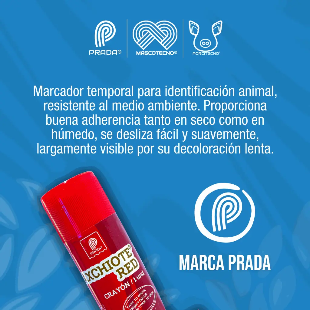 TIZA_MARCADORA_AXCHIOTE_ROJA_01.webp