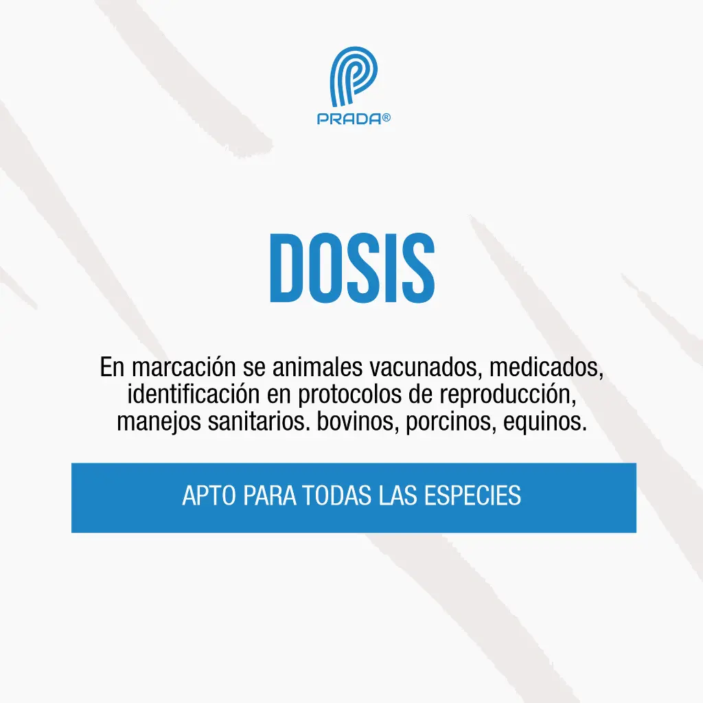 TIZA_MARCADORA_AXCHIOTE_03.webp
