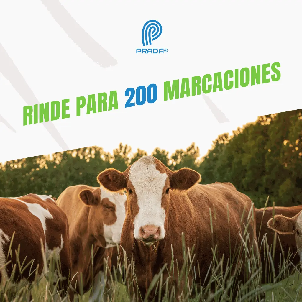 TIZA_MARCADORA_AXCHIOTE_ROJA_04.webp