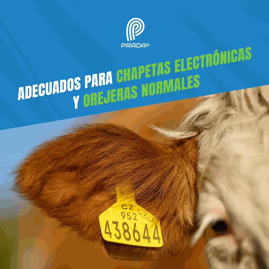 APLICADOR_CHAPETEADORA_OREJERAS_04.webp