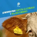 APLICADOR_CHAPETEADORA_OREJERAS_04.webp