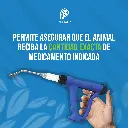 APLICADOR_ORAL_TIPO_K_20ML_03.webp