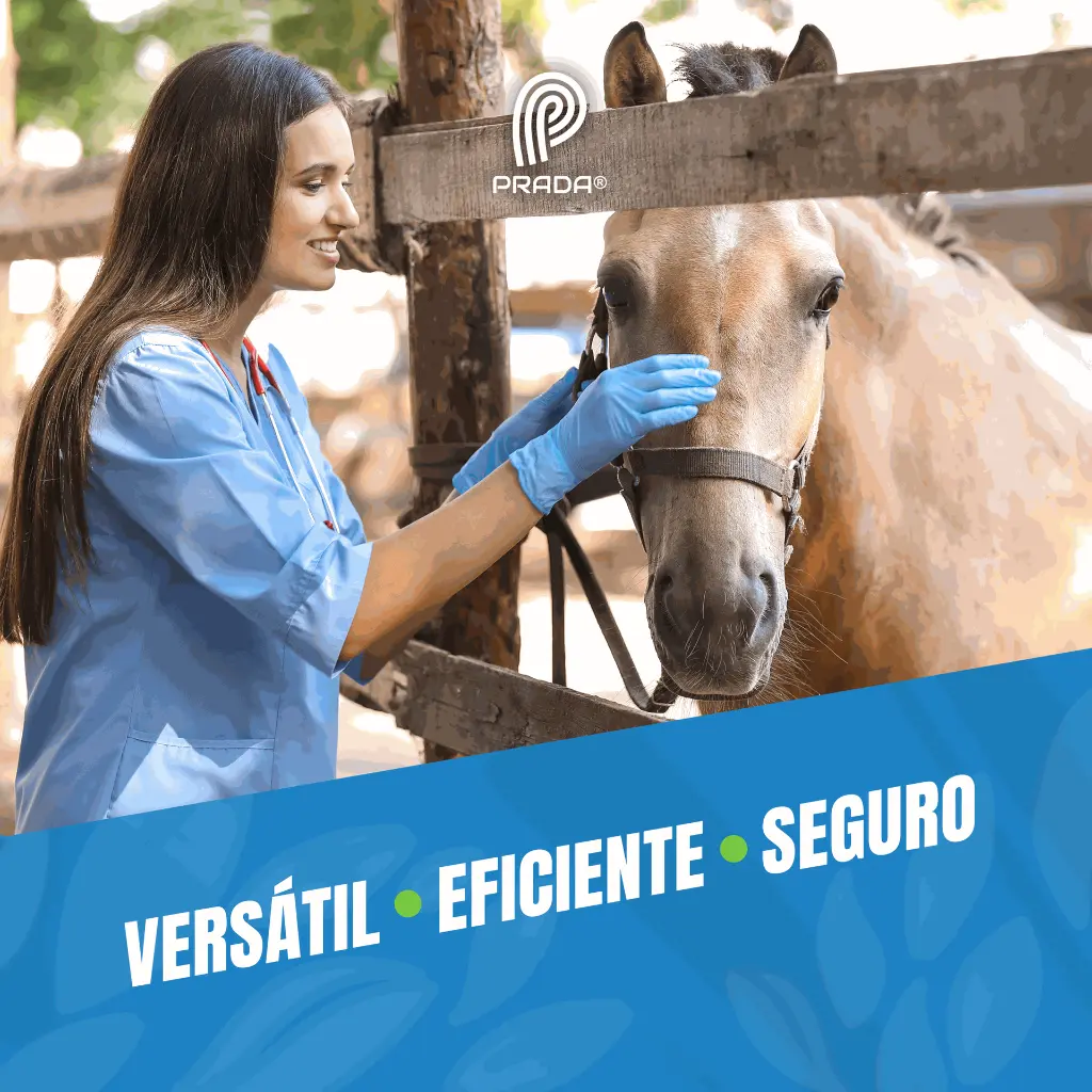 APLICADOR_ORAL_TIPO_K_20ML_04.webp