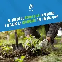 GUANTE_FIBRA_ANTICORTE_04.webp