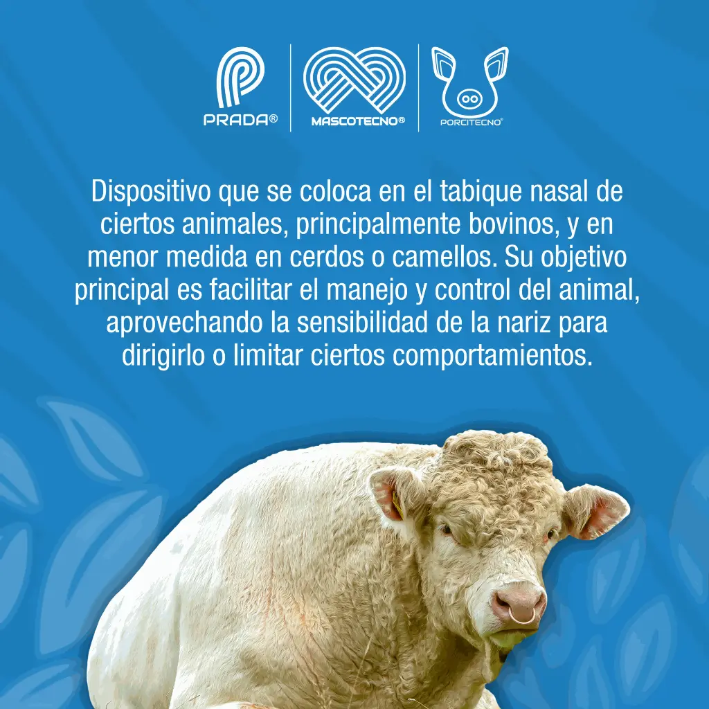 ARGOLLA_NARIGUERA_BRONCE_01.webp