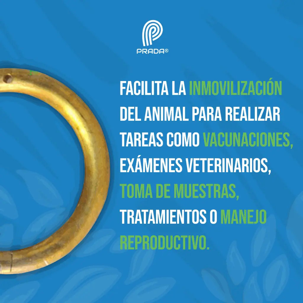 ARGOLLA_NARIGUERA_BRONCE_03.webp