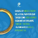 ARGOLLA_NARIGUERA_BRONCE_03.webp