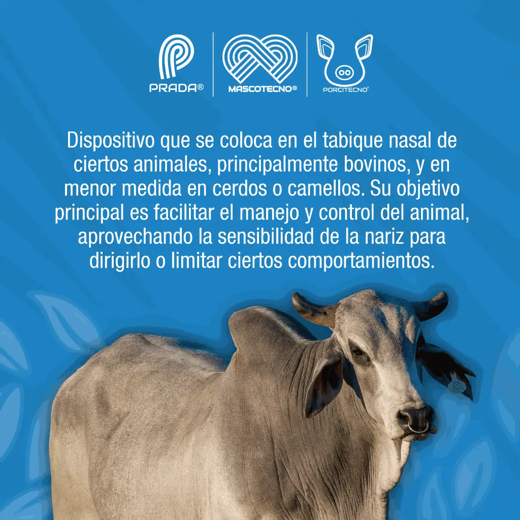 ARGOLLA_NARIGUERA_ACERO_01.webp