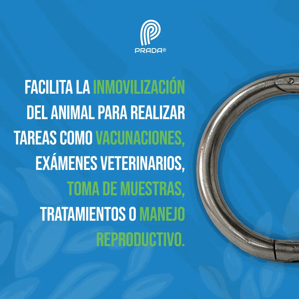 ARGOLLA_NARIGUERA_ACERO_03.webp