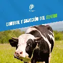 ARGOLLA_NARIGUERA_ACERO_04.webp
