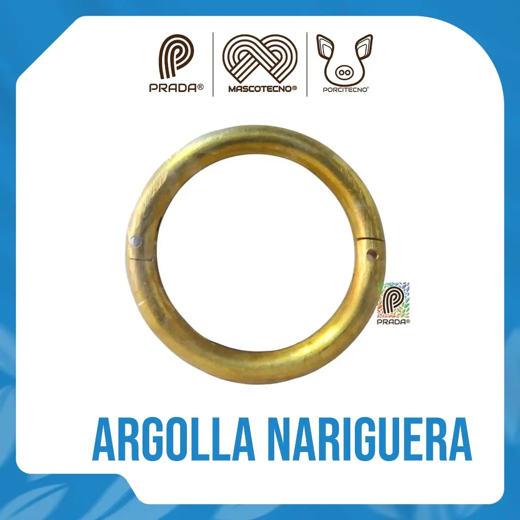 ARGOLLA NARIGUERA DE BRONCE