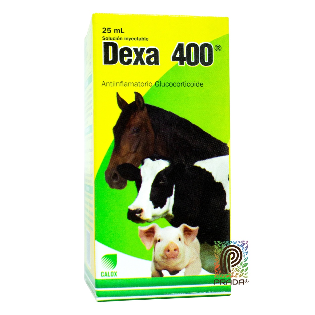 DEXA 400