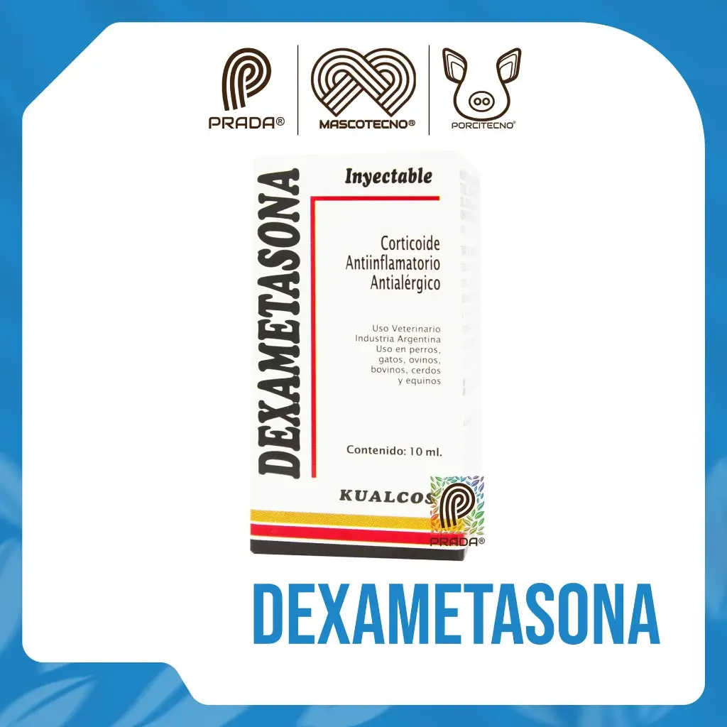 [7-0801-0435] DEXAMETASONA X 10 ML