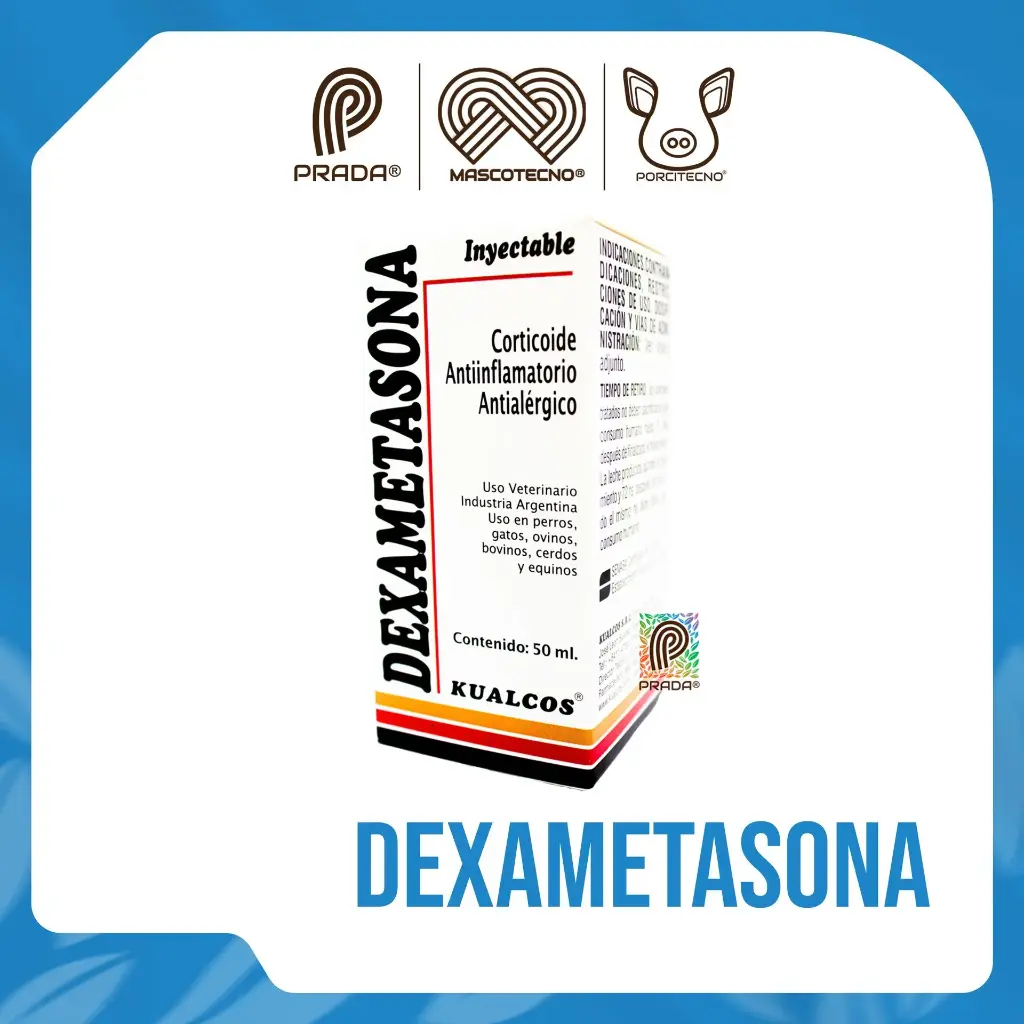 DEXAMETASONA X 50 ML