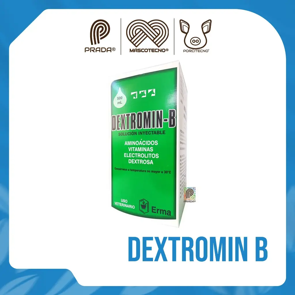 DEXTROMIN B INY X 500ML {M}