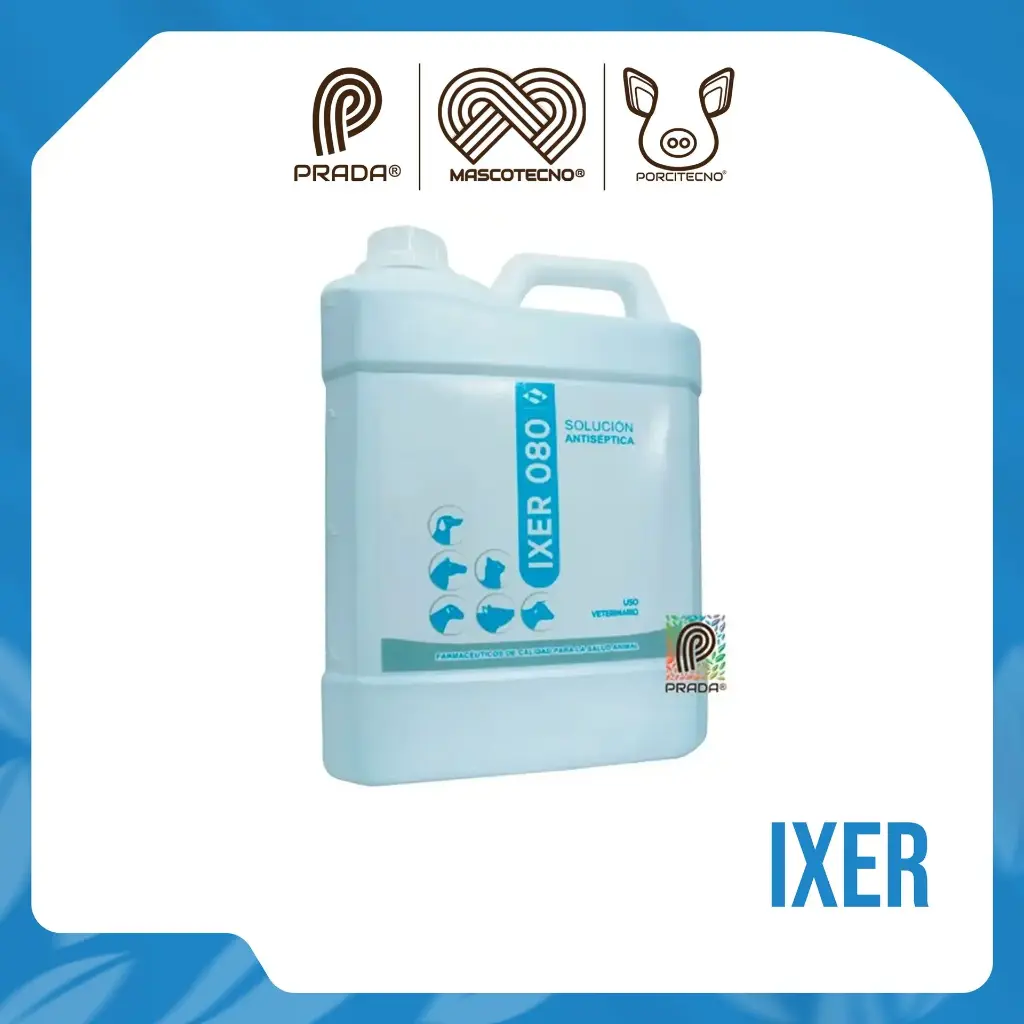 IXER X 4 LT