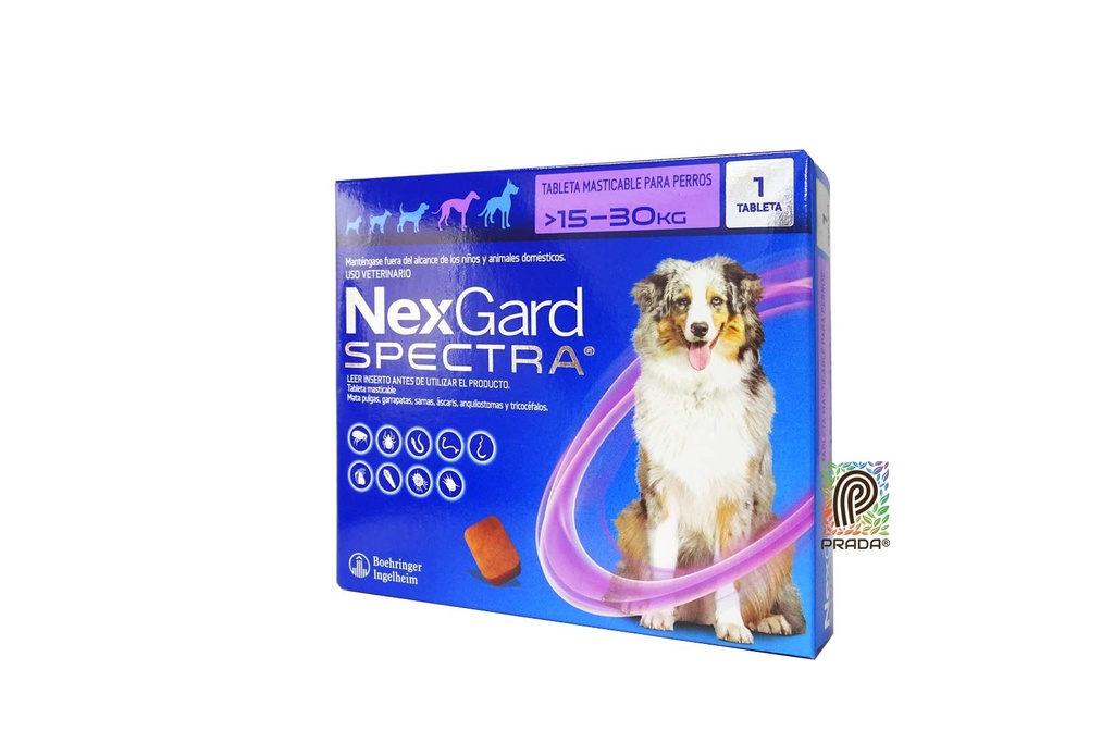 NEXGARD SPECTRA 4 (15-30 KG) (MORADO)