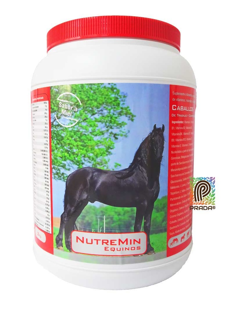 NUTREMIN EQUINOS X 1 KG