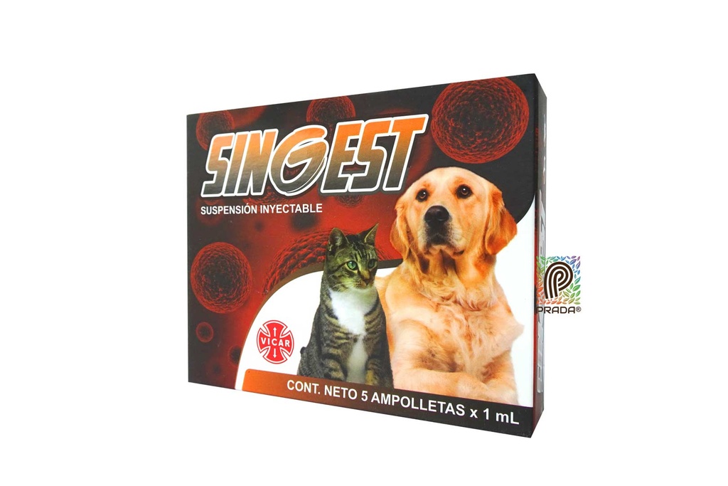 SINGEST AMP 1ML X 6 UND