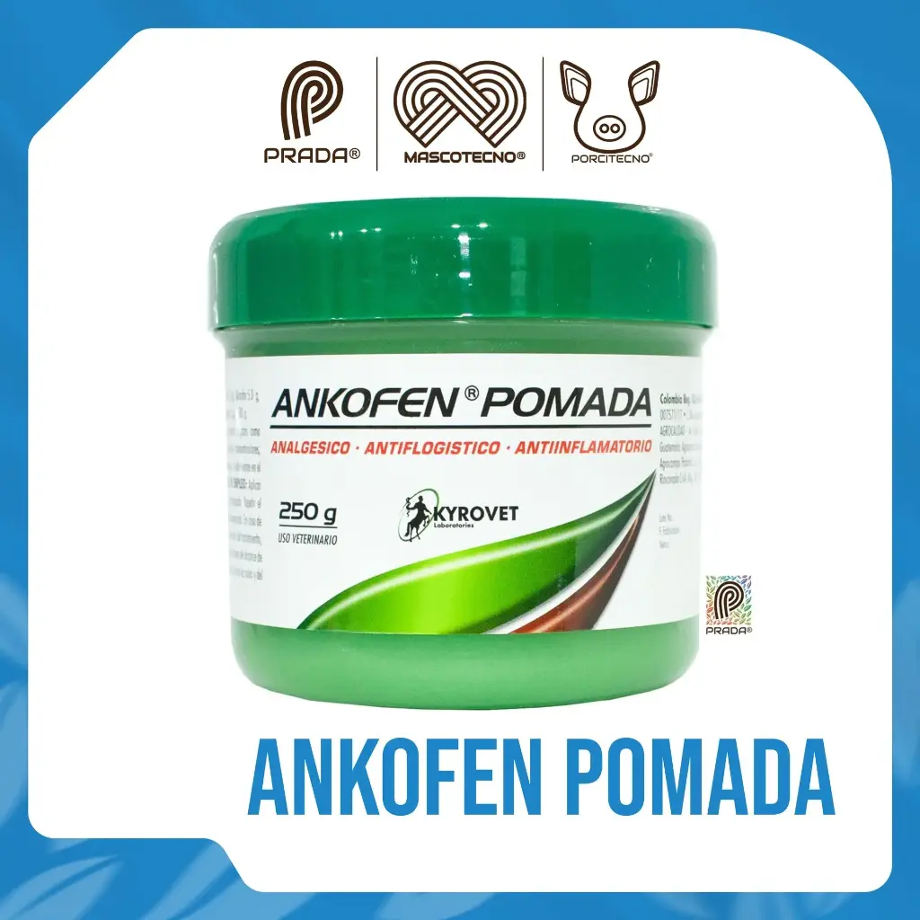 [7-1301-0148] Ankofen pomada x 250 g