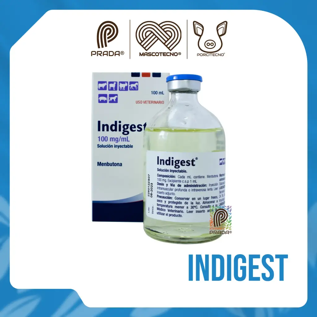 [7-0707-0627] INDIGEST INY X 100 ML