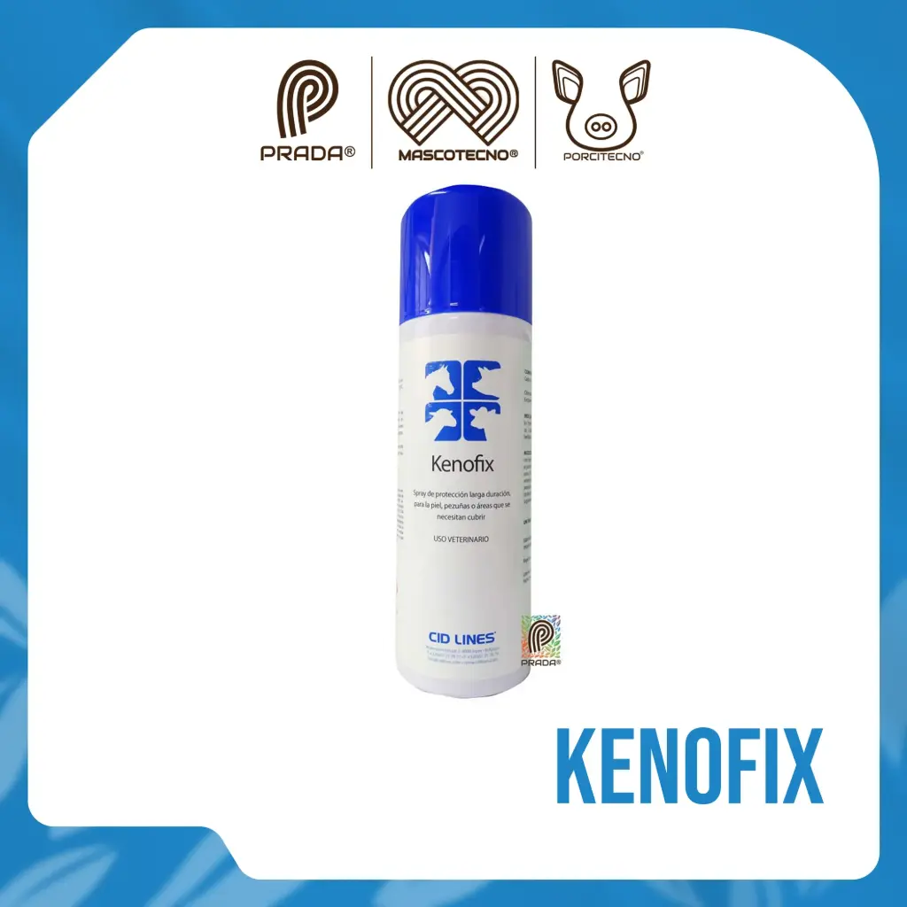KENOFIX X 300 ML