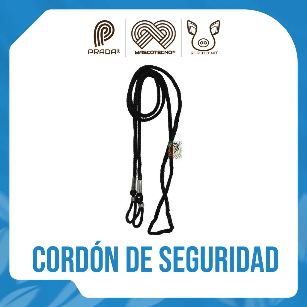 Cordon de seguridad para gafas