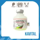 KAVITAL INY X 20 ML