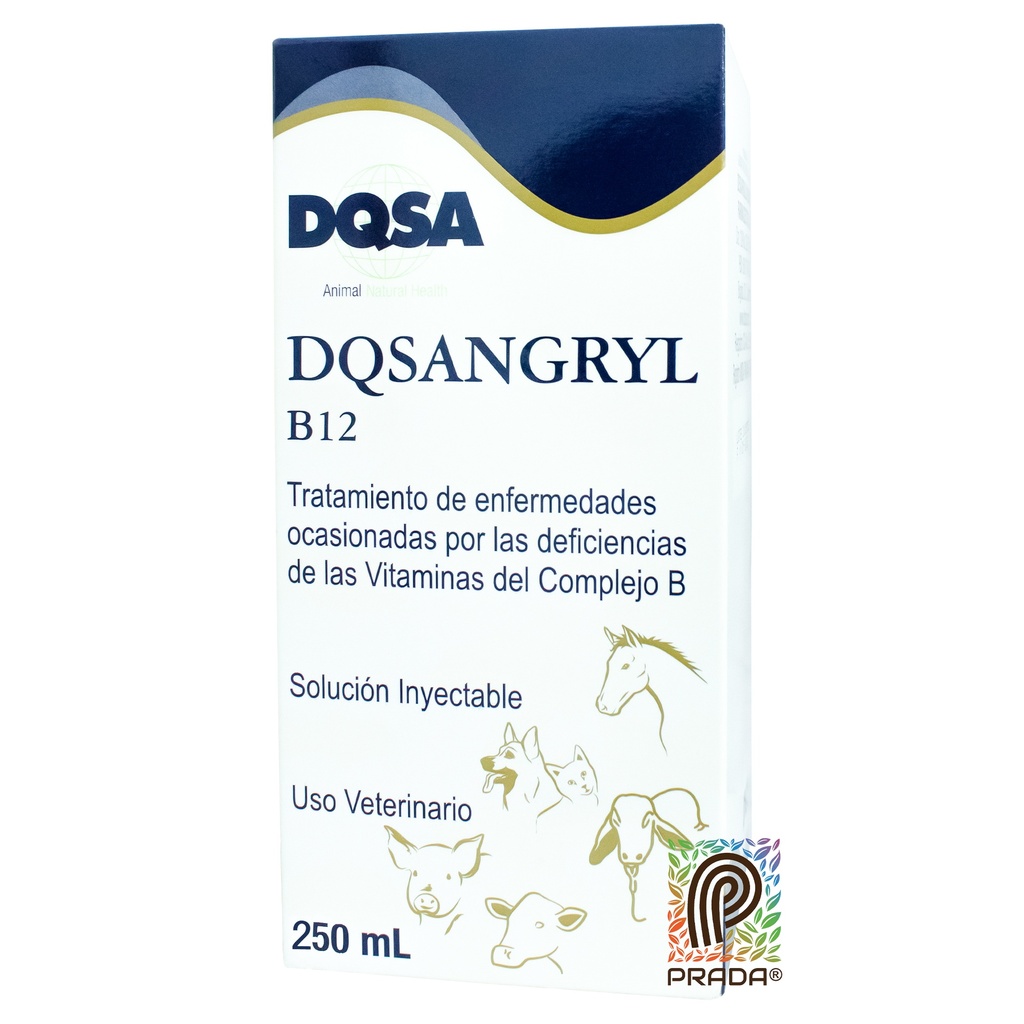 DQSANGRYL B12 X 250 ML [03631]