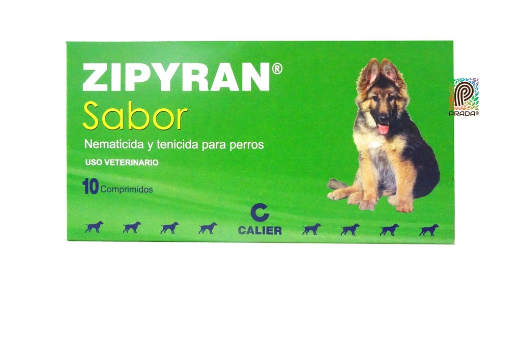 ZIPYRAN SABOR 10 COMPR