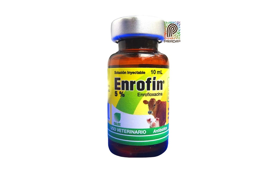 ENROFIN CALOX X 10 ML