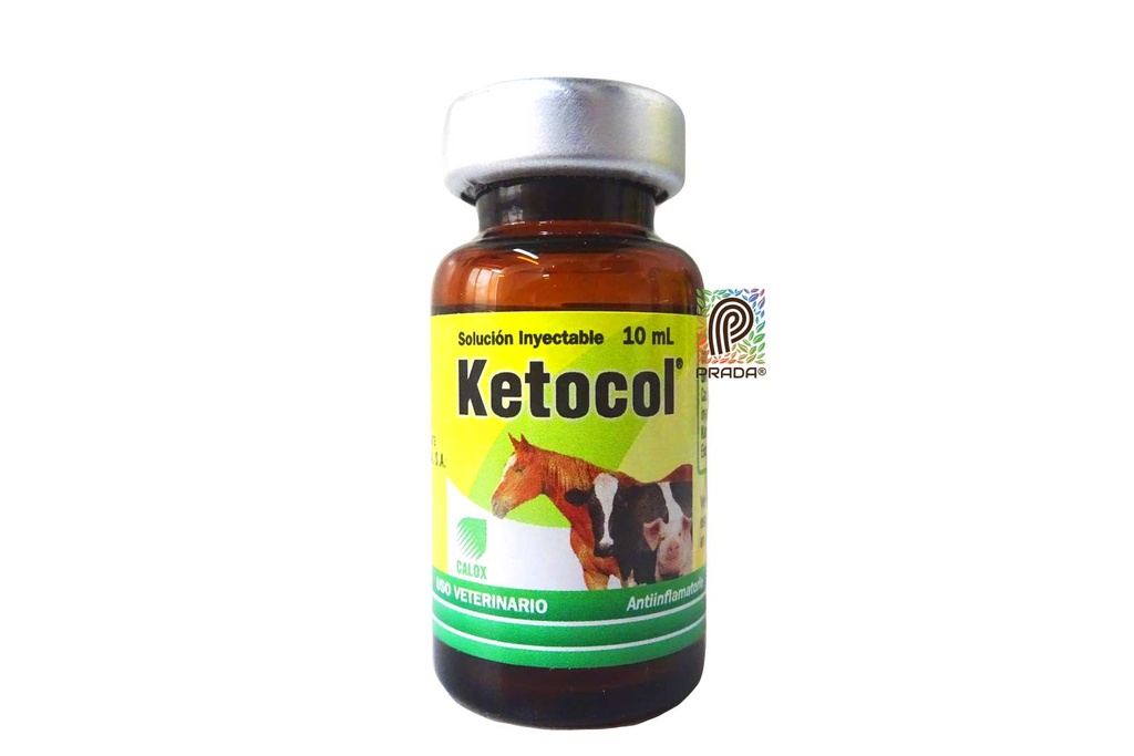 KETOCOL CALOX 10% FCO 10 ML