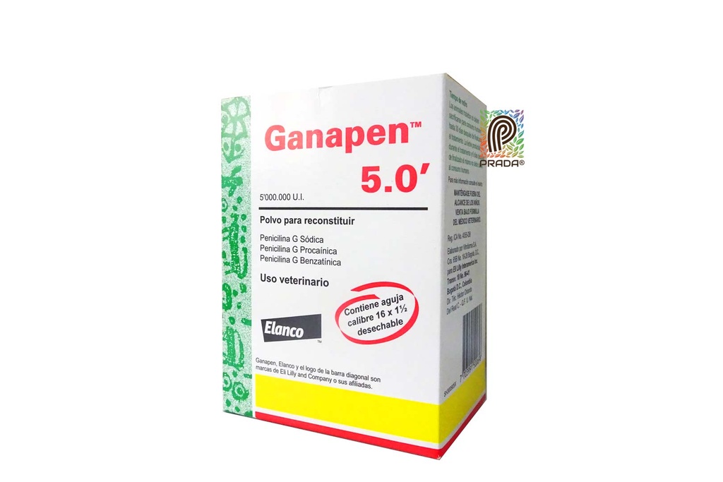 GANAPEN 5.0'