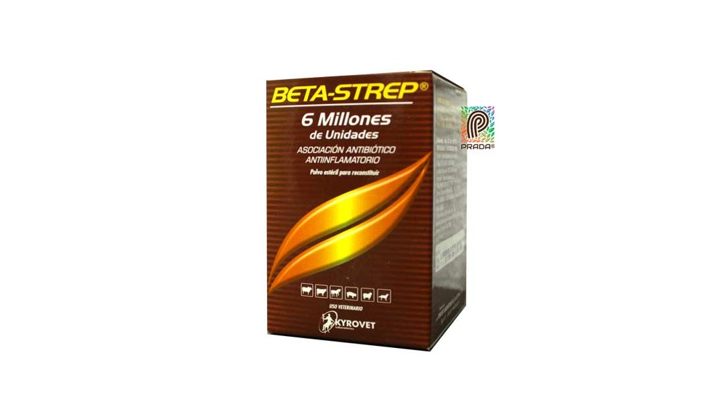 BETA STREP 6 MLL
