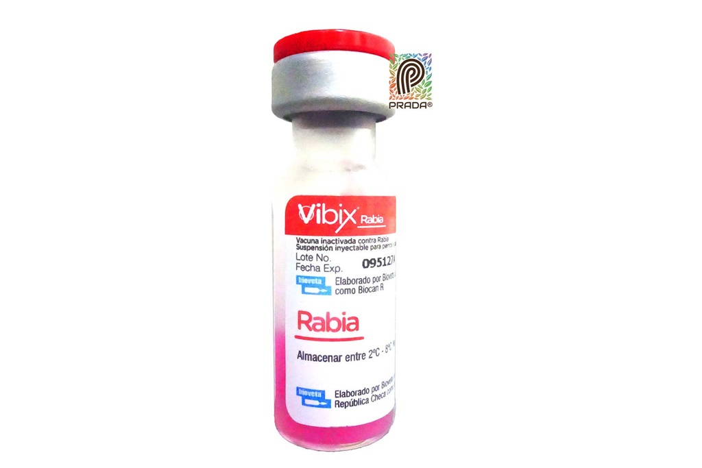 VIBIX RABIA INY FCO X 1 ML