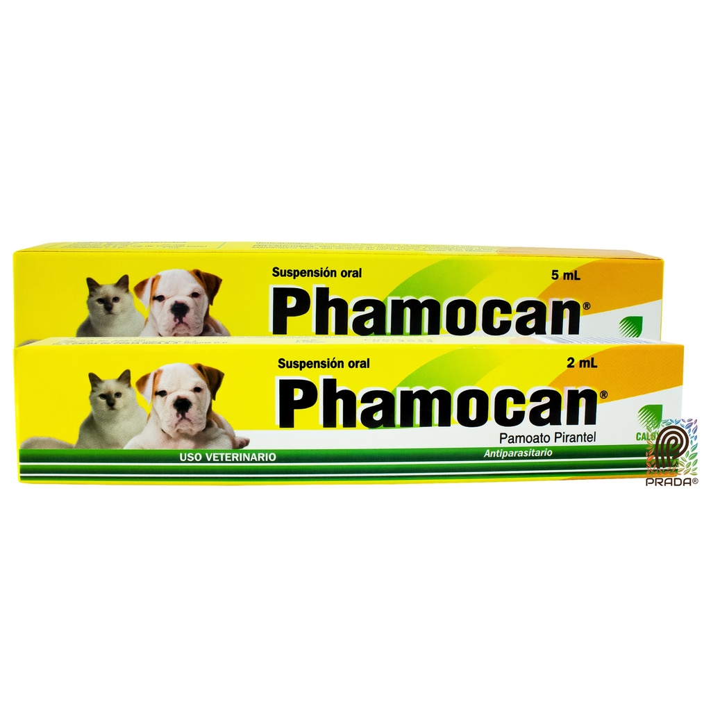 COMBO CALOX 1: PHAMOCAN 5 ML + PHAMOCAN 2 ML