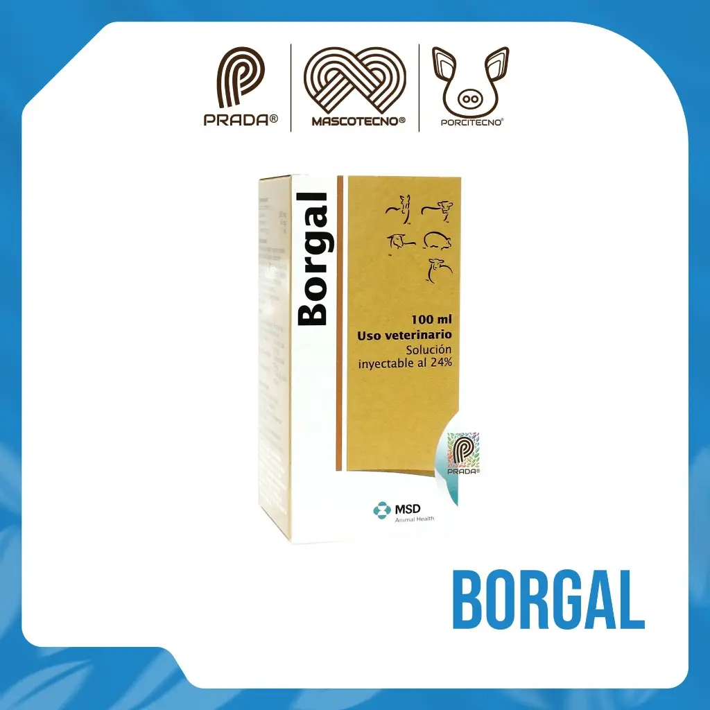 BORGAL