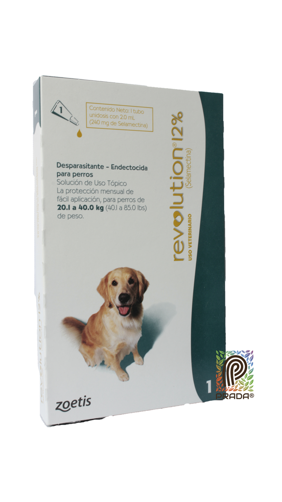 REVOLUTION 20.1-40 KG (VERDE)