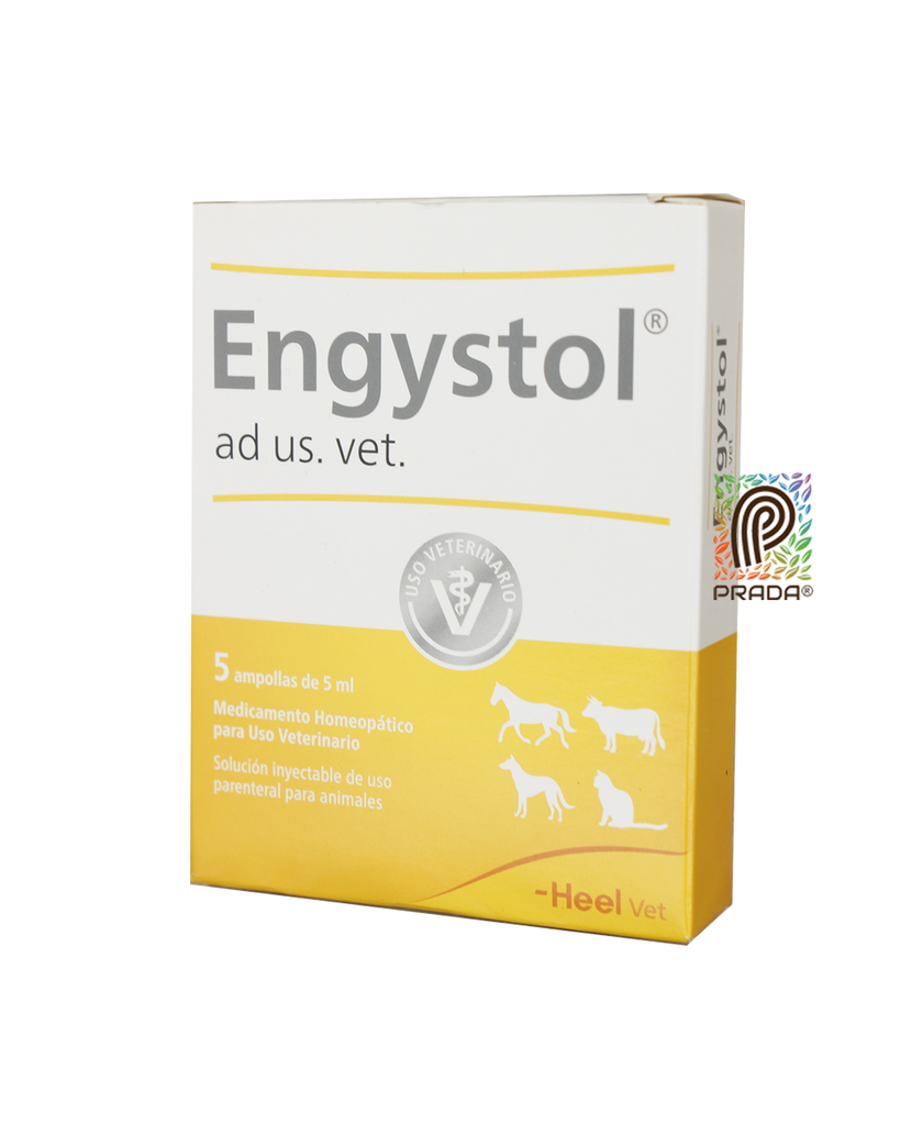 ENGYSTOL TAB X 50 UND (copia)