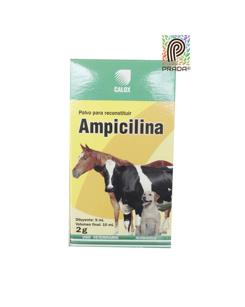 AMPICILINA INY X 2 GR