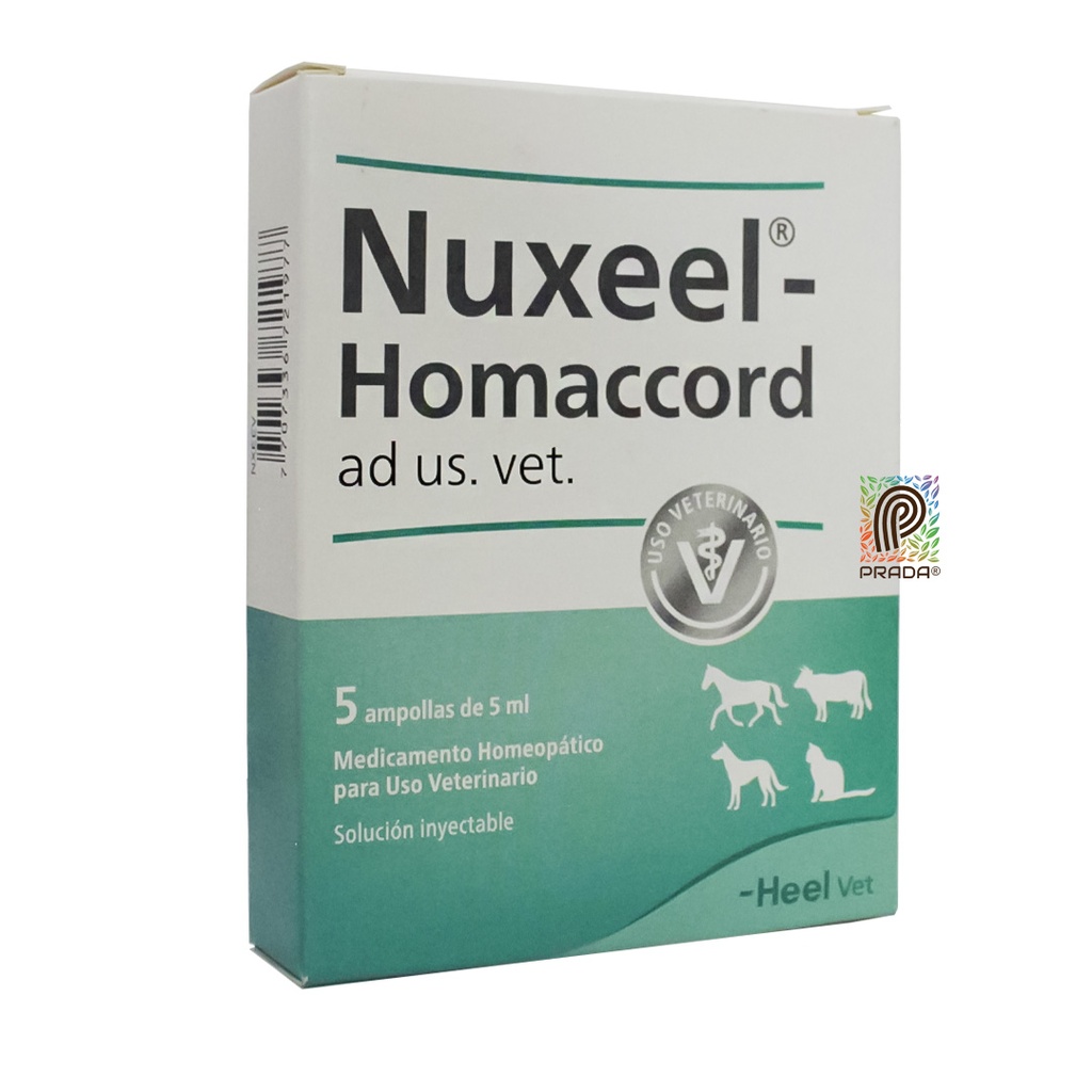 NUXEEL HOMACCORD INY X 5 AMP (copia)