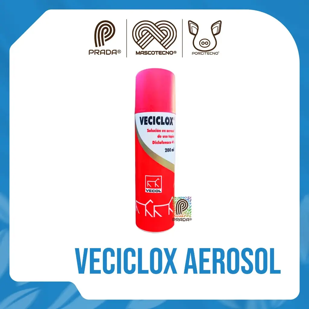 VECICLOX AEROSOL X 200 ML