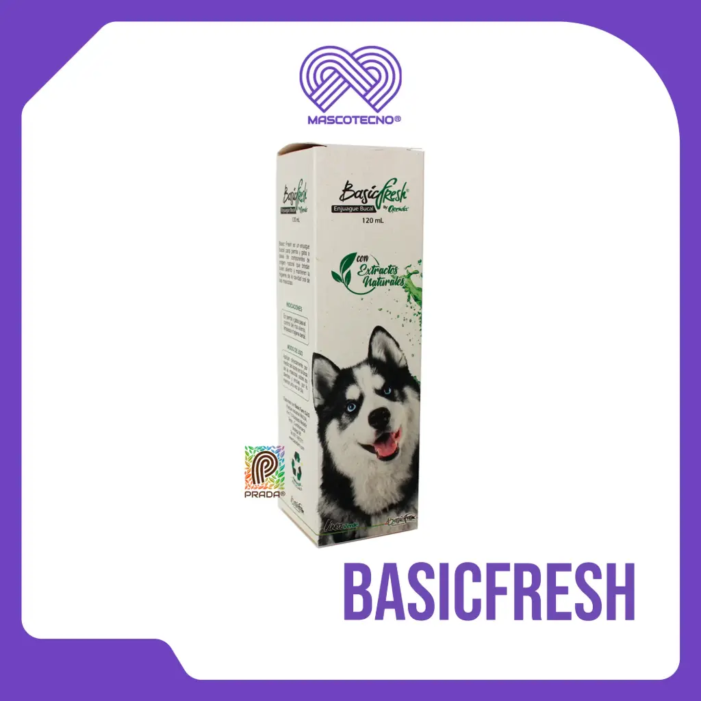 BASICFRESH
