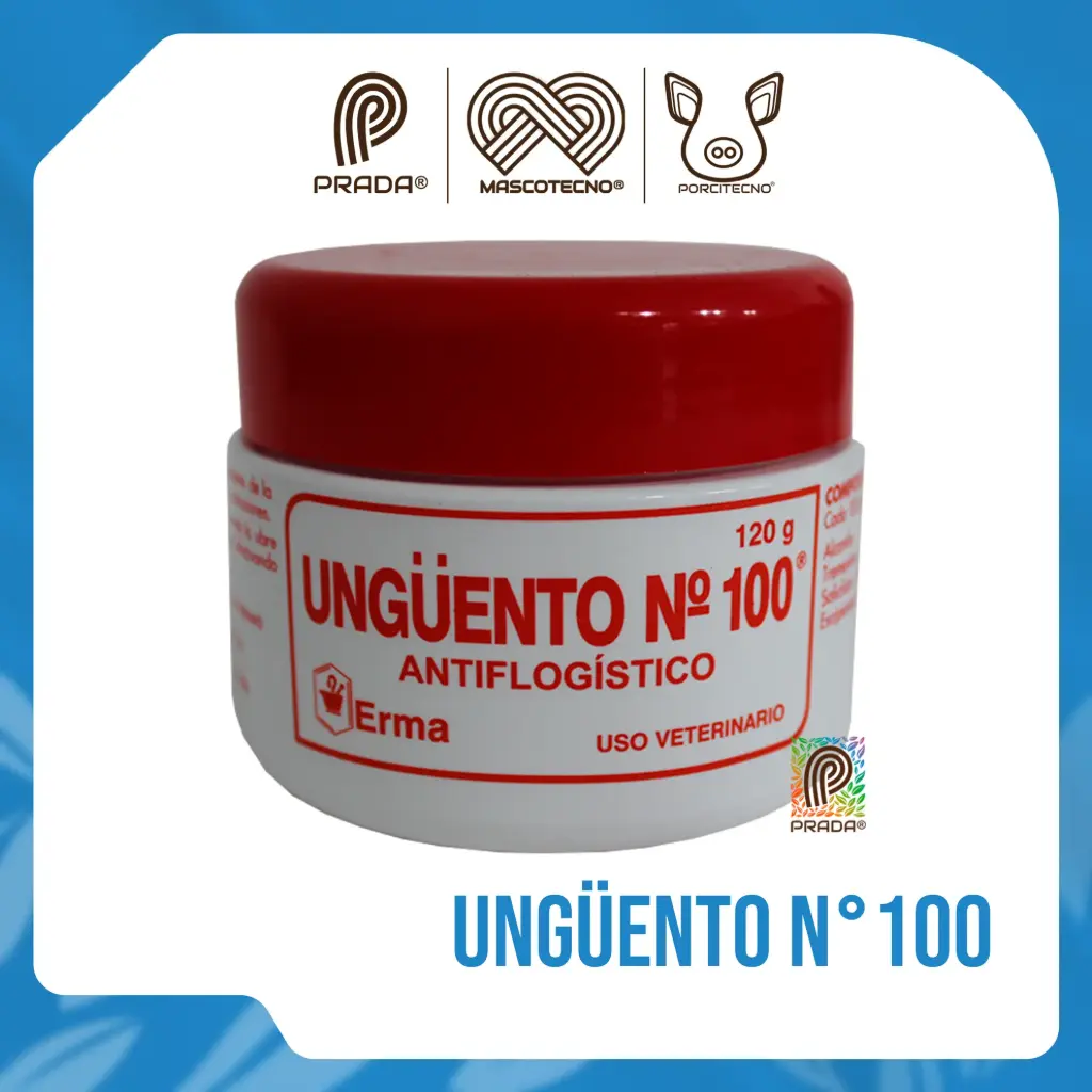 UNGÜENTO NO. 100 120GR