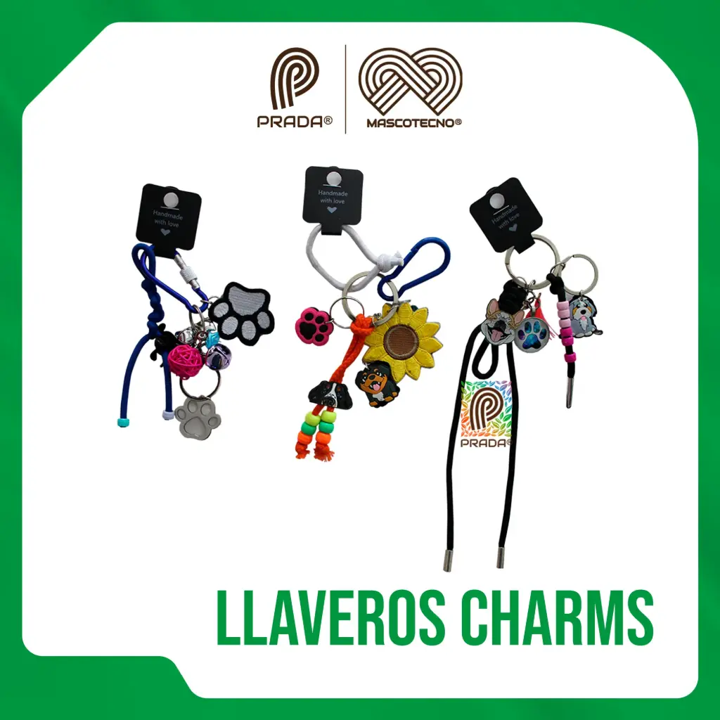 [0-0000-0002] CHARMS