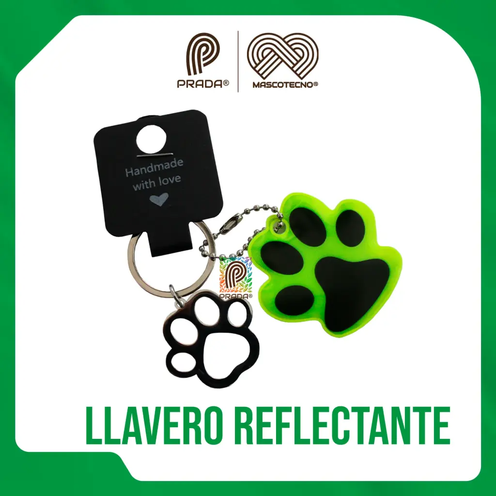[0-0000-0004] LLAVEROS REFLECTIVOS GARRAS