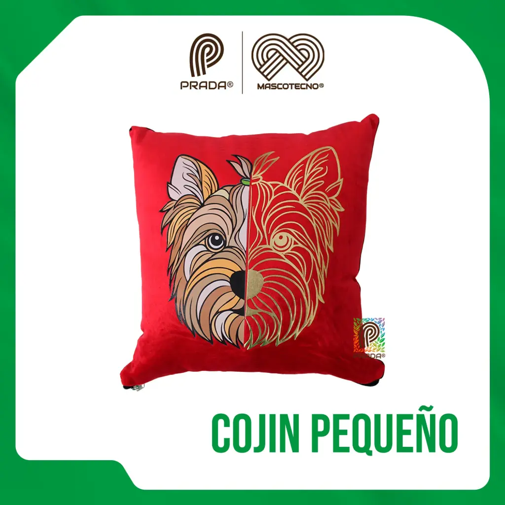 [0-0000-0022] COJIN PEQUEÑO