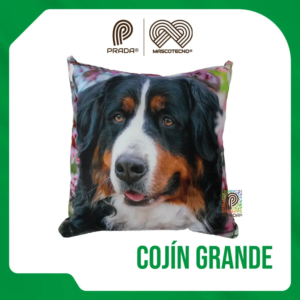 [0-0000-024] COJIN GRANDE